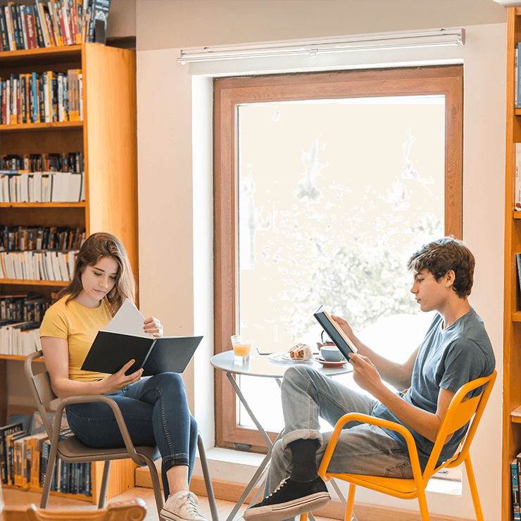 Employer-Sponsored Visas Service Provider in New Zealand